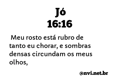 JÓ 16:16 NVI NOVA VERSÃO INTERNACIONAL