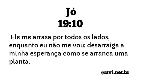 JÓ 19:10 NVI NOVA VERSÃO INTERNACIONAL