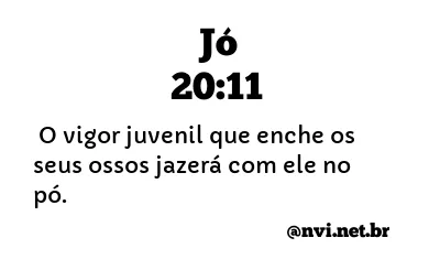 JÓ 20:11 NVI NOVA VERSÃO INTERNACIONAL