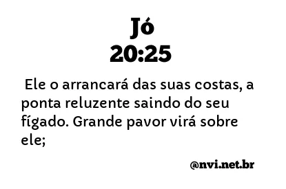 JÓ 20:25 NVI NOVA VERSÃO INTERNACIONAL