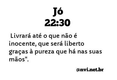 JÓ 22:30 NVI NOVA VERSÃO INTERNACIONAL