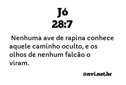 JÓ 28:7 NVI NOVA VERSÃO INTERNACIONAL