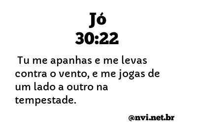 JÓ 30:22 NVI NOVA VERSÃO INTERNACIONAL