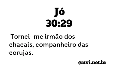 JÓ 30:29 NVI NOVA VERSÃO INTERNACIONAL