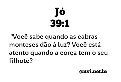 JÓ 39:1 NVI NOVA VERSÃO INTERNACIONAL