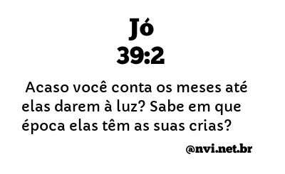 JÓ 39:2 NVI NOVA VERSÃO INTERNACIONAL