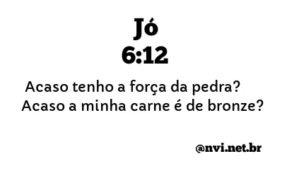 JÓ 6:12 NVI NOVA VERSÃO INTERNACIONAL