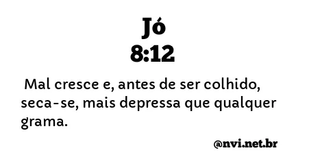 JÓ 8:12 NVI NOVA VERSÃO INTERNACIONAL