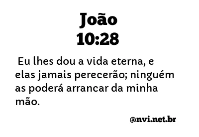 JOÃO 10:28 NVI NOVA VERSÃO INTERNACIONAL