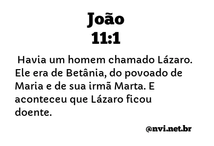 JOÃO 11:1 NVI NOVA VERSÃO INTERNACIONAL