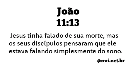 JOÃO 11:13 NVI NOVA VERSÃO INTERNACIONAL