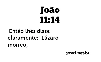 JOÃO 11:14 NVI NOVA VERSÃO INTERNACIONAL