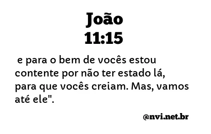 JOÃO 11:15 NVI NOVA VERSÃO INTERNACIONAL