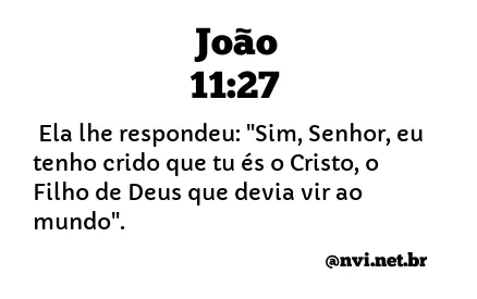 JOÃO 11:27 NVI NOVA VERSÃO INTERNACIONAL