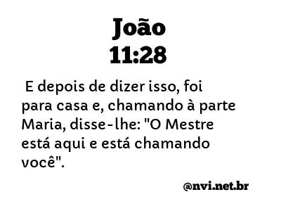 JOÃO 11:28 NVI NOVA VERSÃO INTERNACIONAL