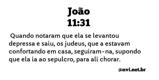 JOÃO 11:31 NVI NOVA VERSÃO INTERNACIONAL