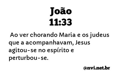 JOÃO 11:33 NVI NOVA VERSÃO INTERNACIONAL