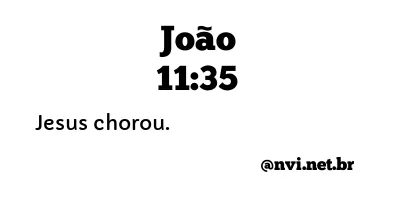 JOÃO 11:35 NVI NOVA VERSÃO INTERNACIONAL