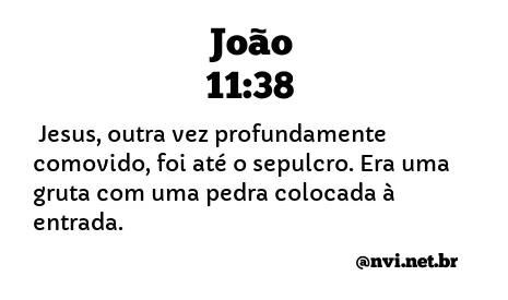 JOÃO 11:38 NVI NOVA VERSÃO INTERNACIONAL