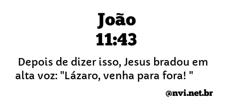 JOÃO 11:43 NVI NOVA VERSÃO INTERNACIONAL