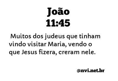 JOÃO 11:45 NVI NOVA VERSÃO INTERNACIONAL