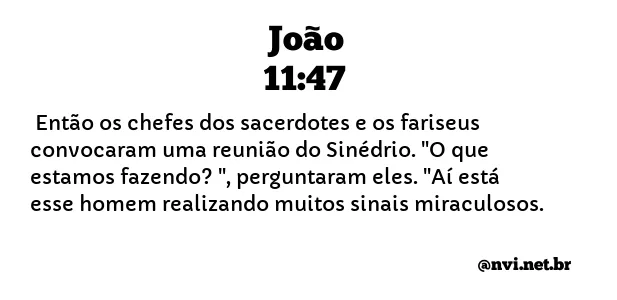 JOÃO 11:47 NVI NOVA VERSÃO INTERNACIONAL