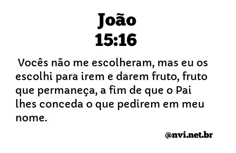 JOÃO 15:16 NVI NOVA VERSÃO INTERNACIONAL