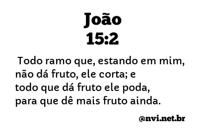 JOÃO 15:2 NVI NOVA VERSÃO INTERNACIONAL