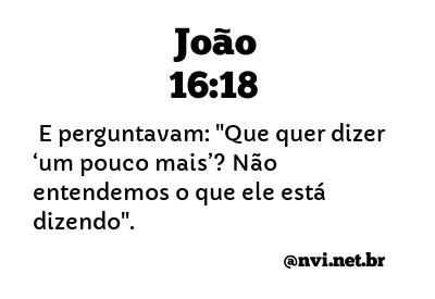 JOÃO 16:18 NVI NOVA VERSÃO INTERNACIONAL