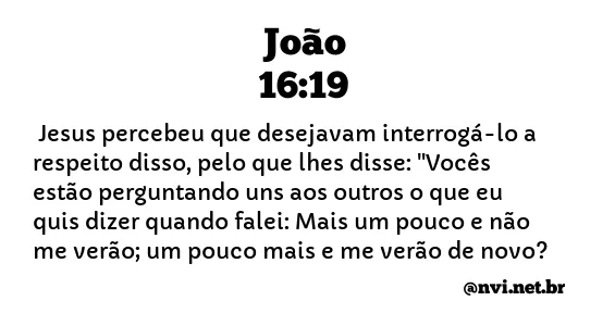 JOÃO 16:19 NVI NOVA VERSÃO INTERNACIONAL