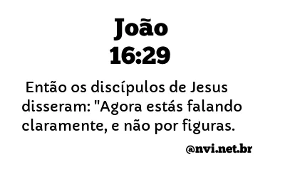 JOÃO 16:29 NVI NOVA VERSÃO INTERNACIONAL