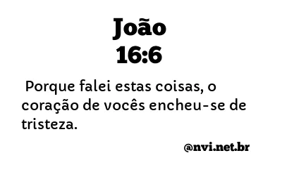 JOÃO 16:6 NVI NOVA VERSÃO INTERNACIONAL