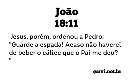 JOÃO 18:11 NVI NOVA VERSÃO INTERNACIONAL