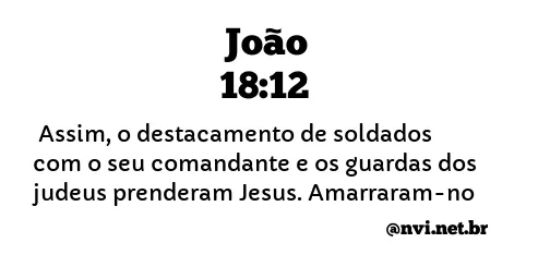 JOÃO 18:12 NVI NOVA VERSÃO INTERNACIONAL