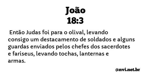 JOÃO 18:3 NVI NOVA VERSÃO INTERNACIONAL