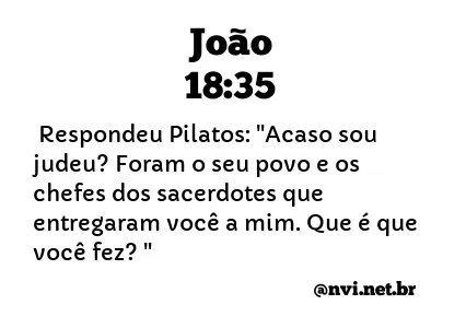 JOÃO 18:35 NVI NOVA VERSÃO INTERNACIONAL