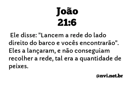 JOÃO 21:6 NVI NOVA VERSÃO INTERNACIONAL