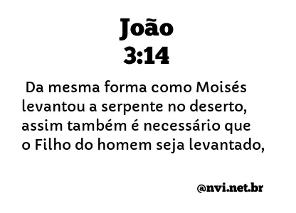 JOÃO 3:14 NVI NOVA VERSÃO INTERNACIONAL