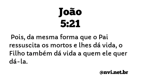 JOÃO 5:21 NVI NOVA VERSÃO INTERNACIONAL