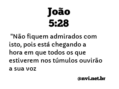 JOÃO 5:28 NVI NOVA VERSÃO INTERNACIONAL