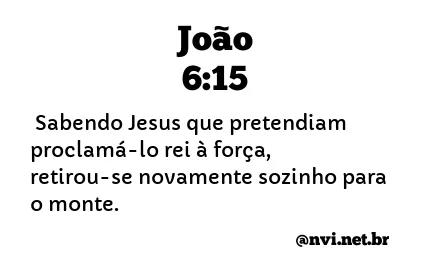 JOÃO 6:15 NVI NOVA VERSÃO INTERNACIONAL