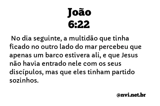 JOÃO 6:22 NVI NOVA VERSÃO INTERNACIONAL