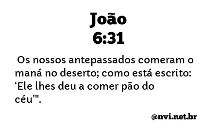 JOÃO 6:31 NVI NOVA VERSÃO INTERNACIONAL