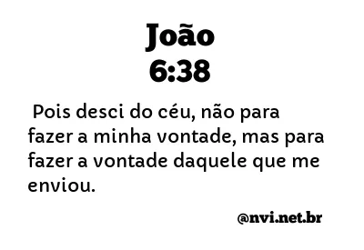 JOÃO 6:38 NVI NOVA VERSÃO INTERNACIONAL