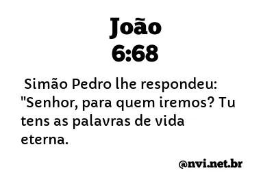 JOÃO 6:68 NVI NOVA VERSÃO INTERNACIONAL