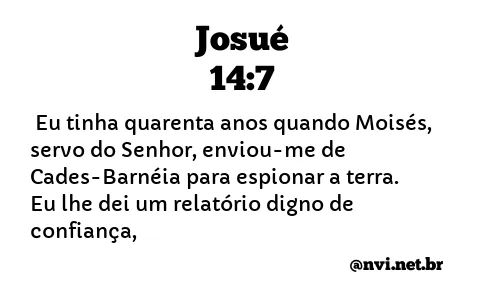 JOSUÉ 14:7 NVI NOVA VERSÃO INTERNACIONAL