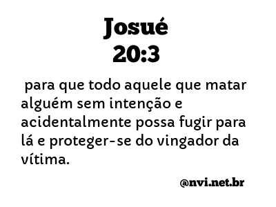 JOSUÉ 20:3 NVI NOVA VERSÃO INTERNACIONAL