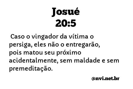 JOSUÉ 20:5 NVI NOVA VERSÃO INTERNACIONAL