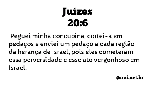 JUÍZES 20:6 NVI NOVA VERSÃO INTERNACIONAL