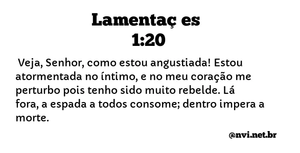 LAMENTAÇÕES 1:20 NVI NOVA VERSÃO INTERNACIONAL
